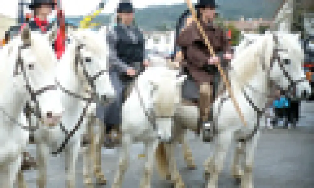 Un millésime prometteur pour la Foire de Brignoles