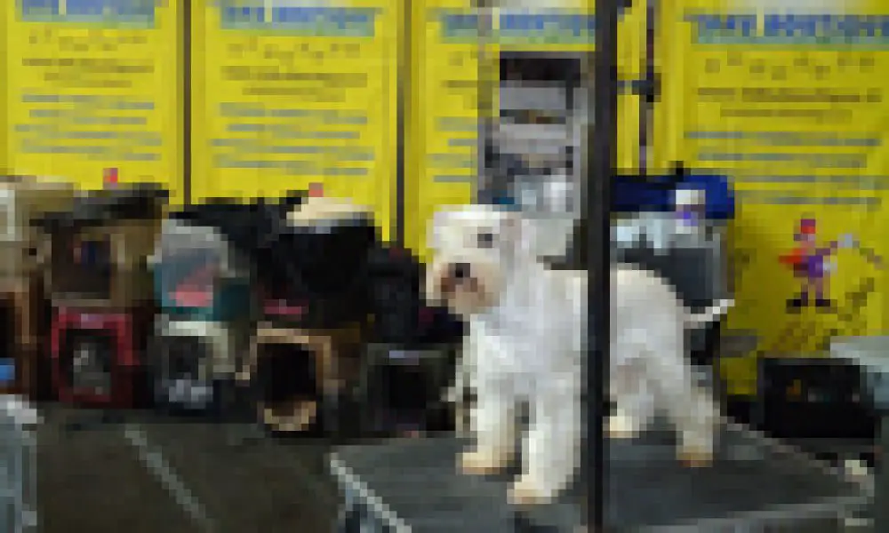 World Dog Show: Championnat de France