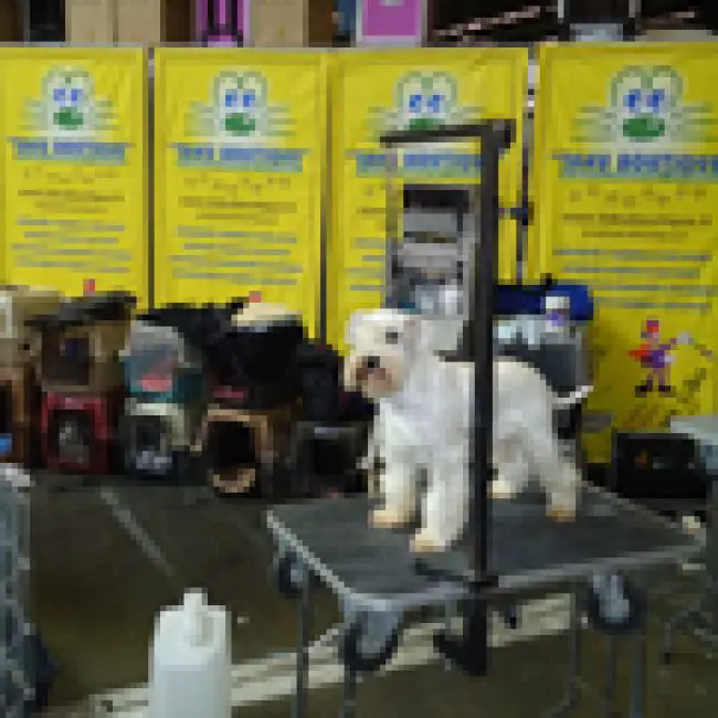 World Dog Show: Championnat de France