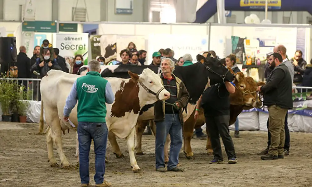 Ferme Expo Tours : Le salon régional de l’agriculture et de la gastronomie