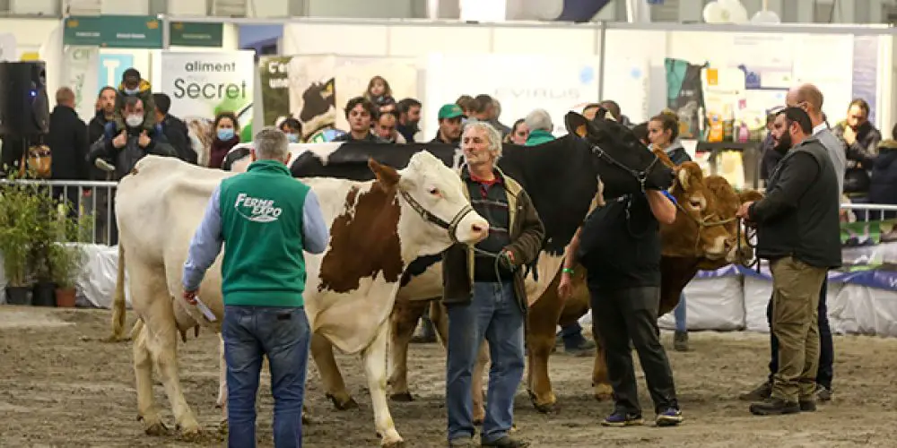 Ferme Expo Tours : Le salon régional de l’agriculture et de la gastronomie