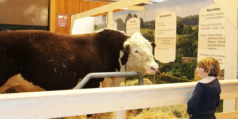 Valérie Le Roy, directrice du Salon de l’Agriculture, le salon du vivant !