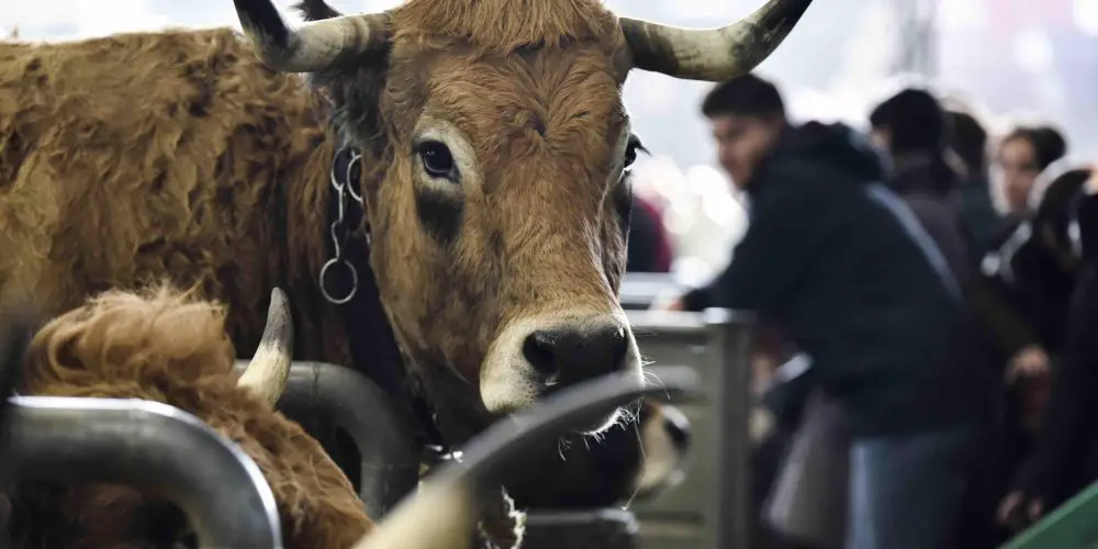 Le Salon International de l’Agriculture s’ancre dans l’éco-responsabilité