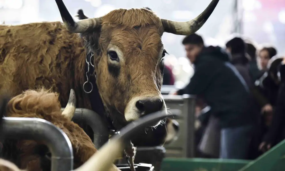 Le Salon International de l’Agriculture s’ancre dans l’éco-responsabilité